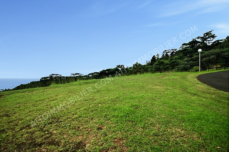 Terrain sur Mahina à vendre 2