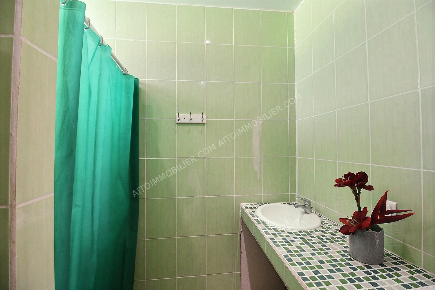 VENTE MAISON SUR MAHAENA 6