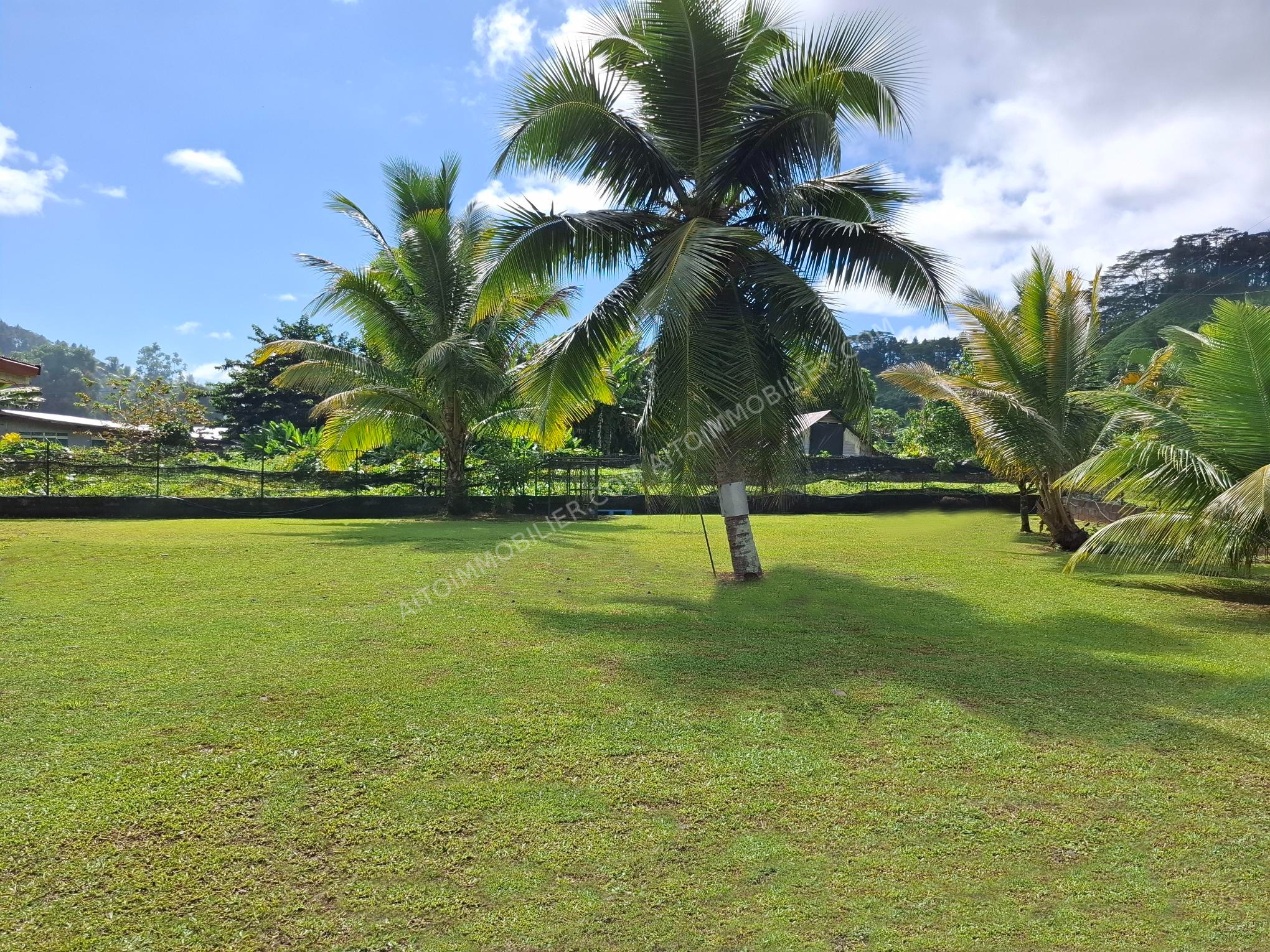 VENTE MAISON SUR MAHAENA 10