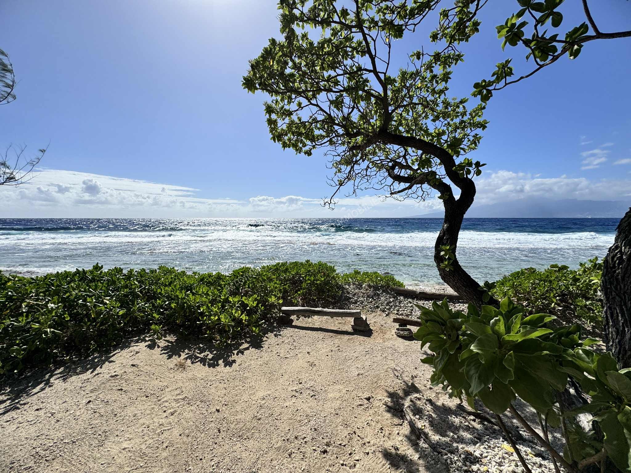 TERRAIN BORD DE MER 3