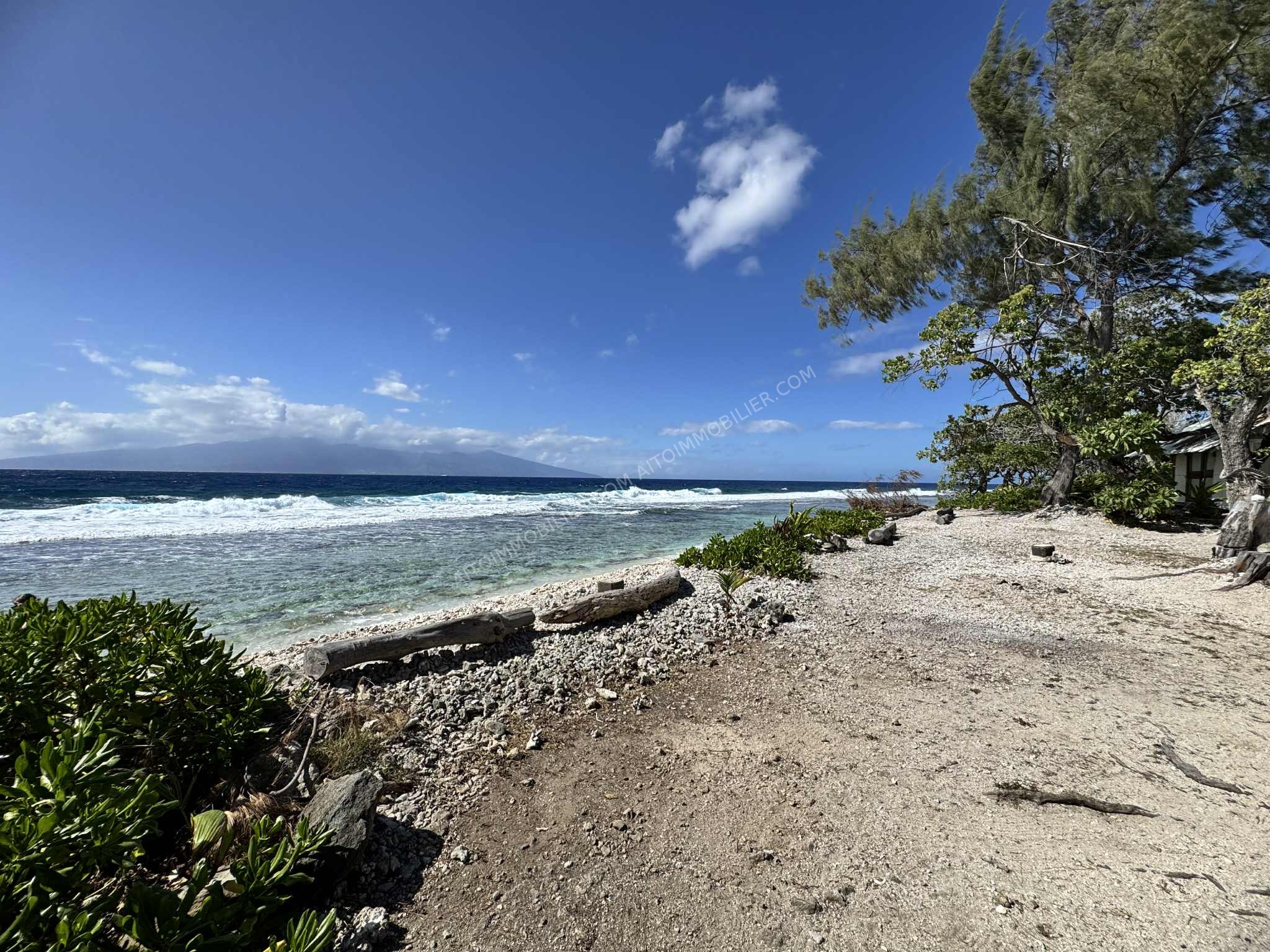 TERRAIN BORD DE MER 1
