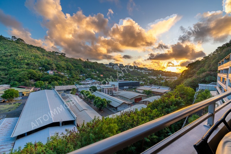 Papeete Tipaerui, appartement à vendre 9