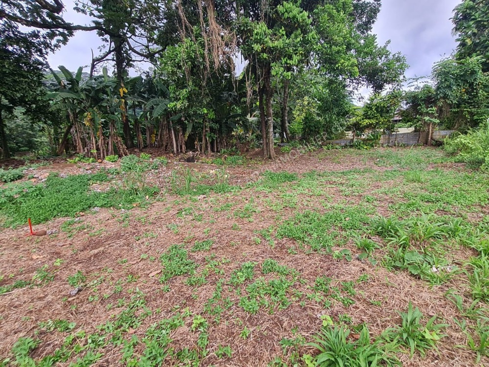Terrain Papenoo