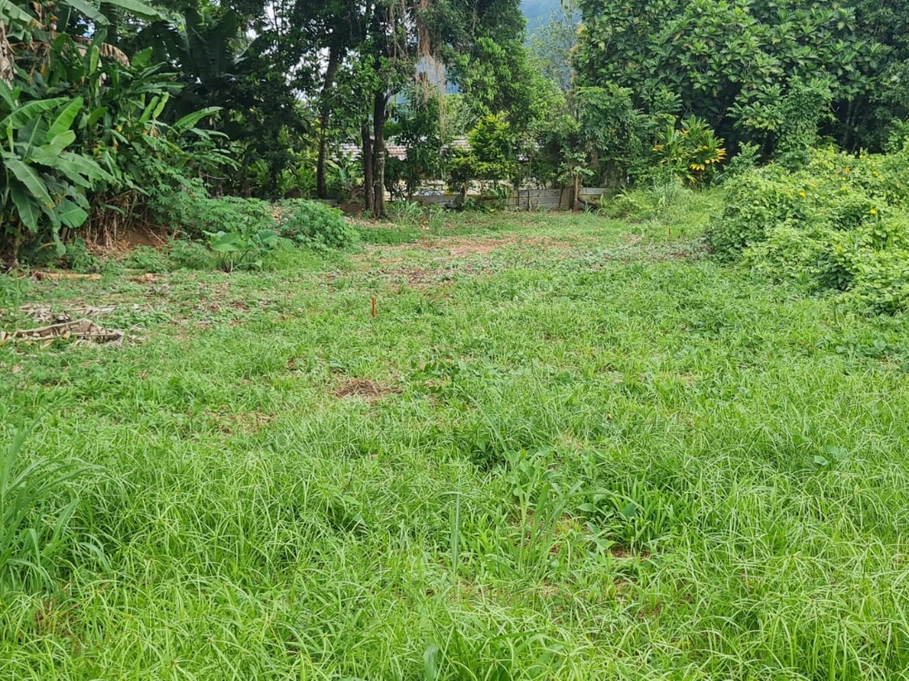 terrain Papenoo