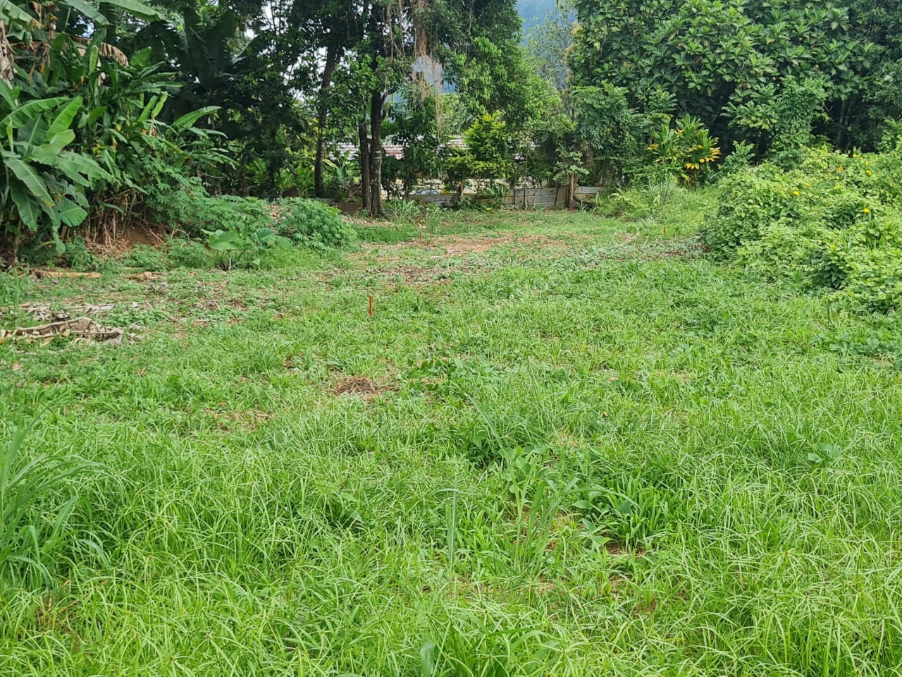terrain Papenoo 1