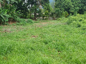 terrain Papenoo