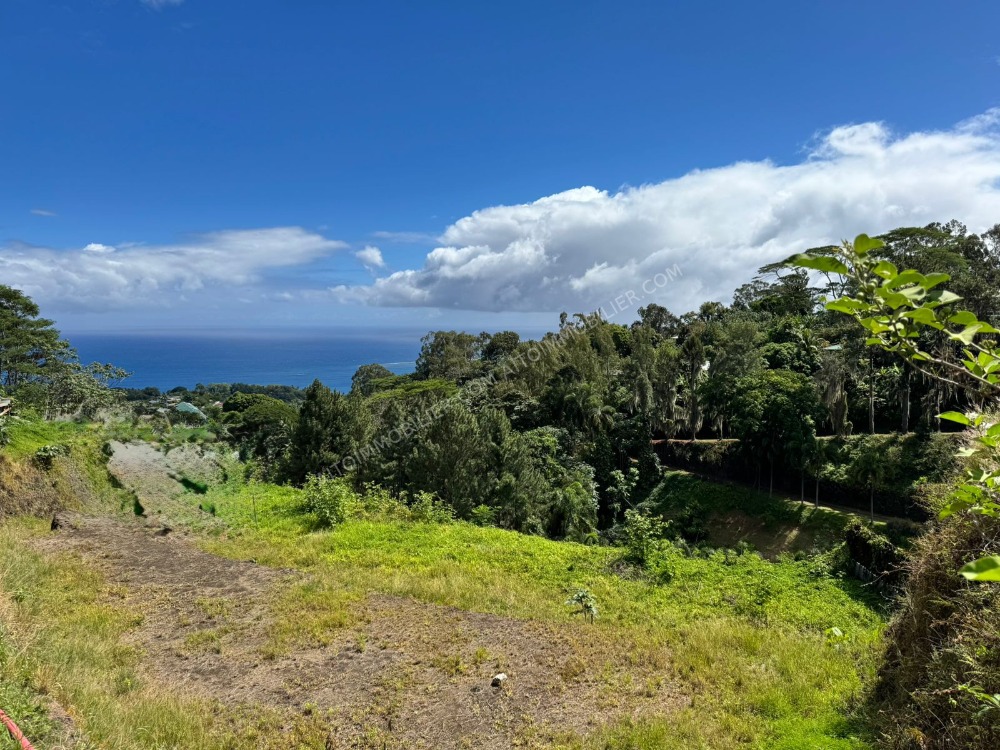 TERRAIN VUE MER VIABILISE