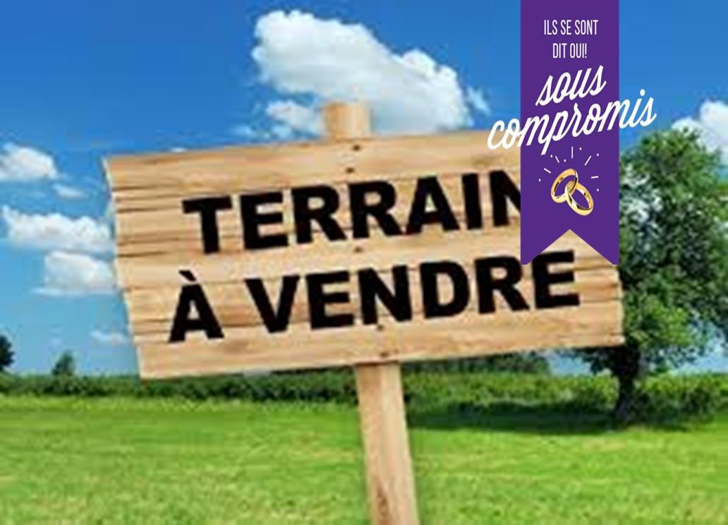 VENTE TERRAIN TEROMA 1