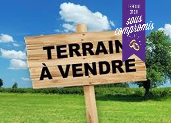 VENTE TERRAIN TEROMA