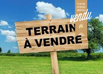 VENTE TERRAIN TEROMA