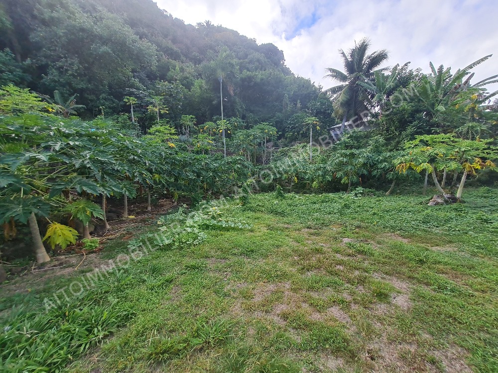 Terrain plat de 800 m²  constructible sur Punaauia coté montagne, petite hauteur
