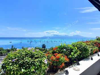 À LOUER APPARTEMENT F3 - PUNAAUIA