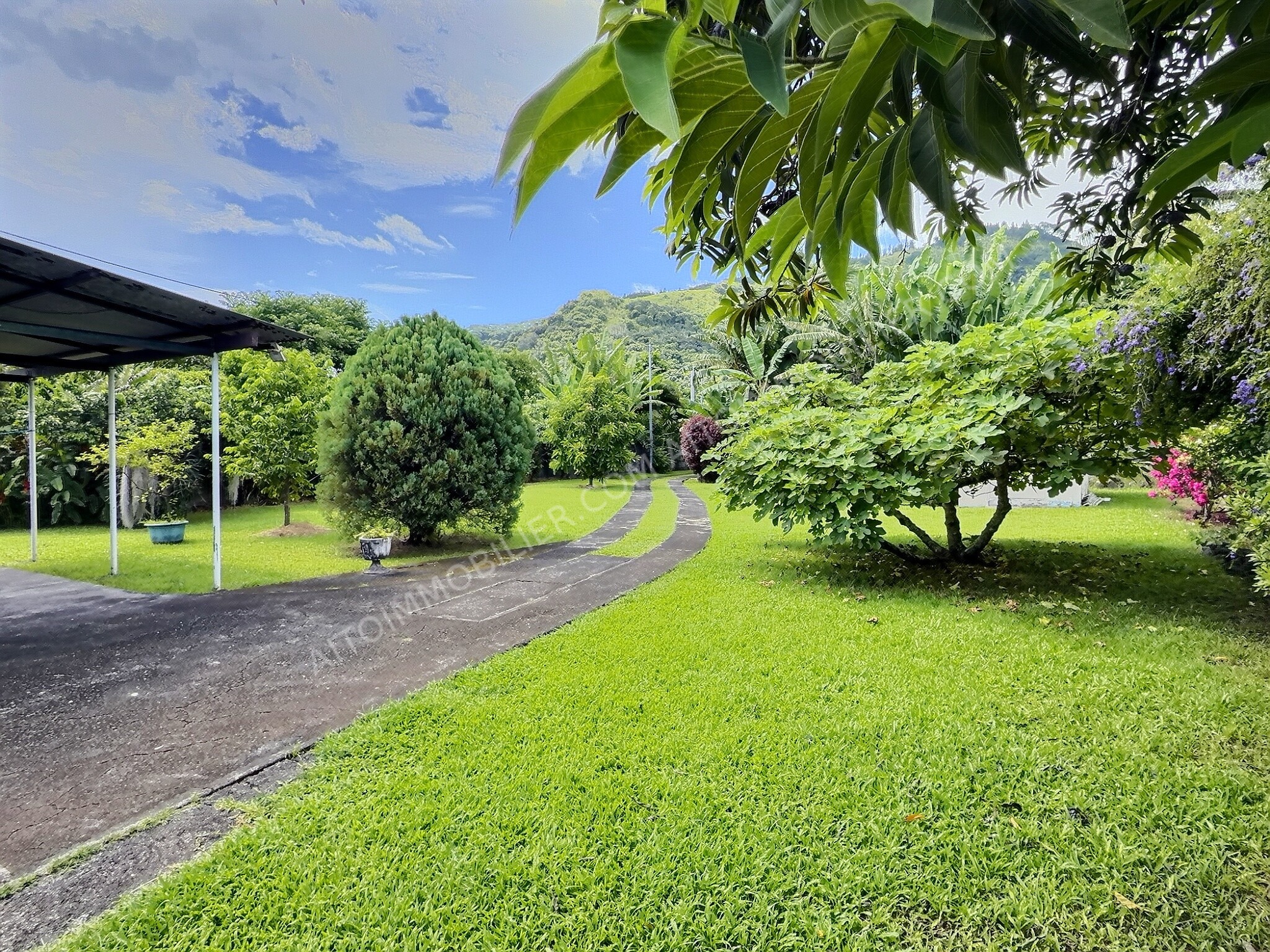 A LOUER MAISON F3 PAPARA 13