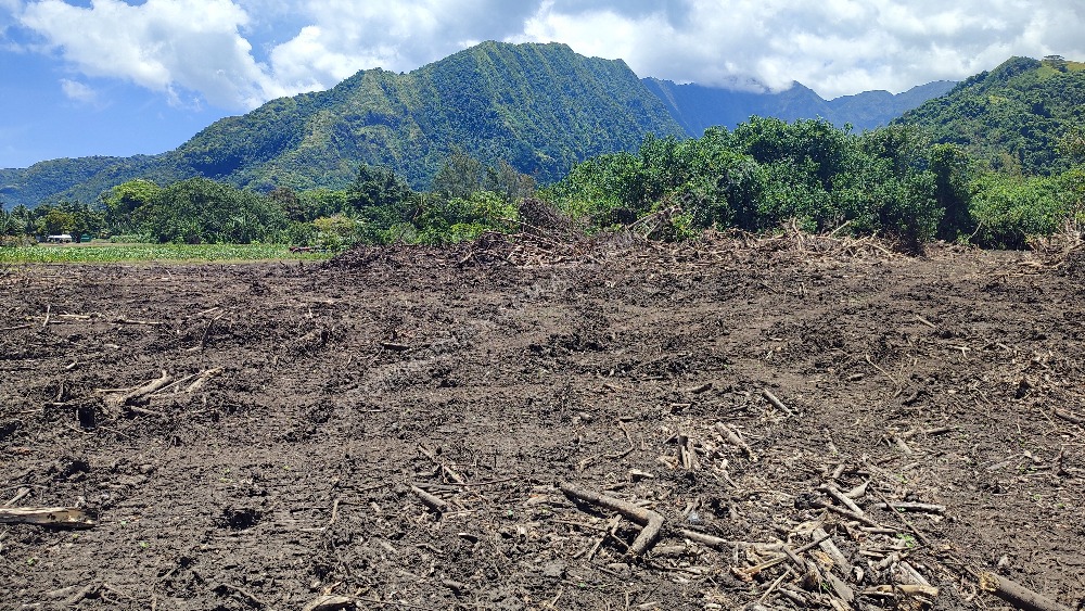 Vente terrain sur Papara