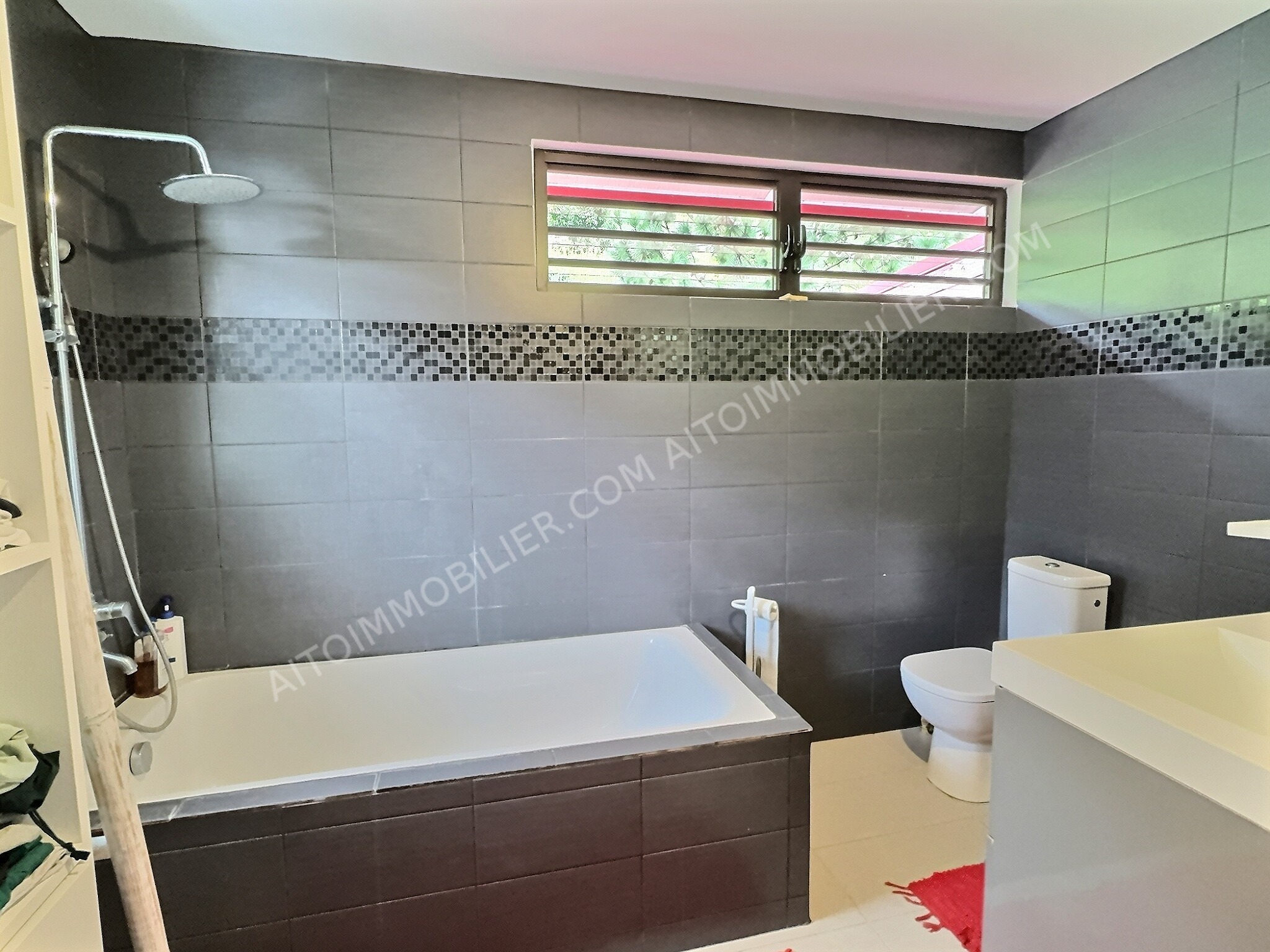 VENTE MAISON SUR PUNAAUIA 8