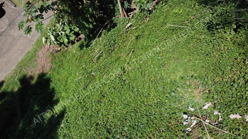Terrain à vendre sur Papenoo 2