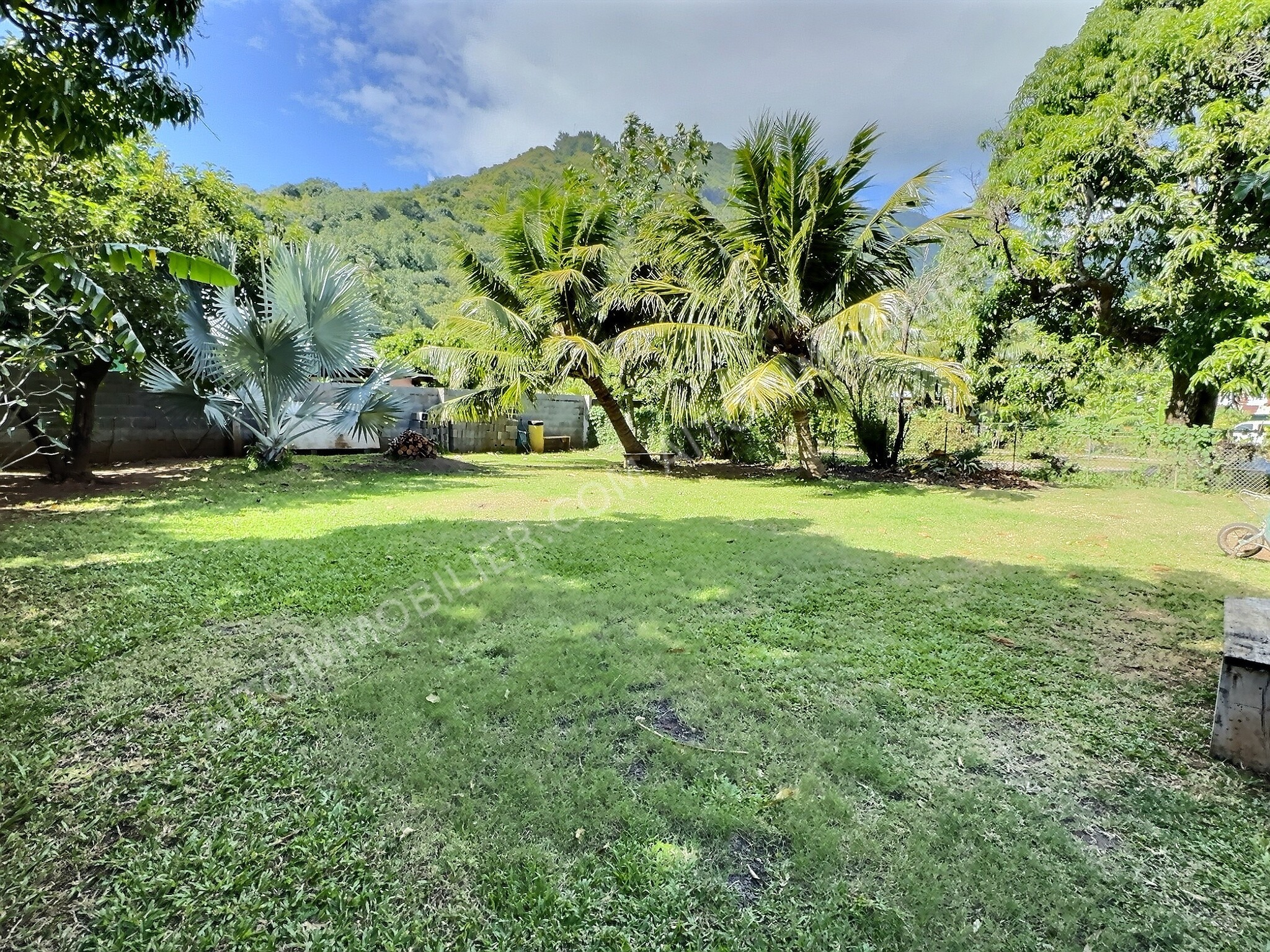 Moorea propriété familiale avec une maison de 4 chambres 18