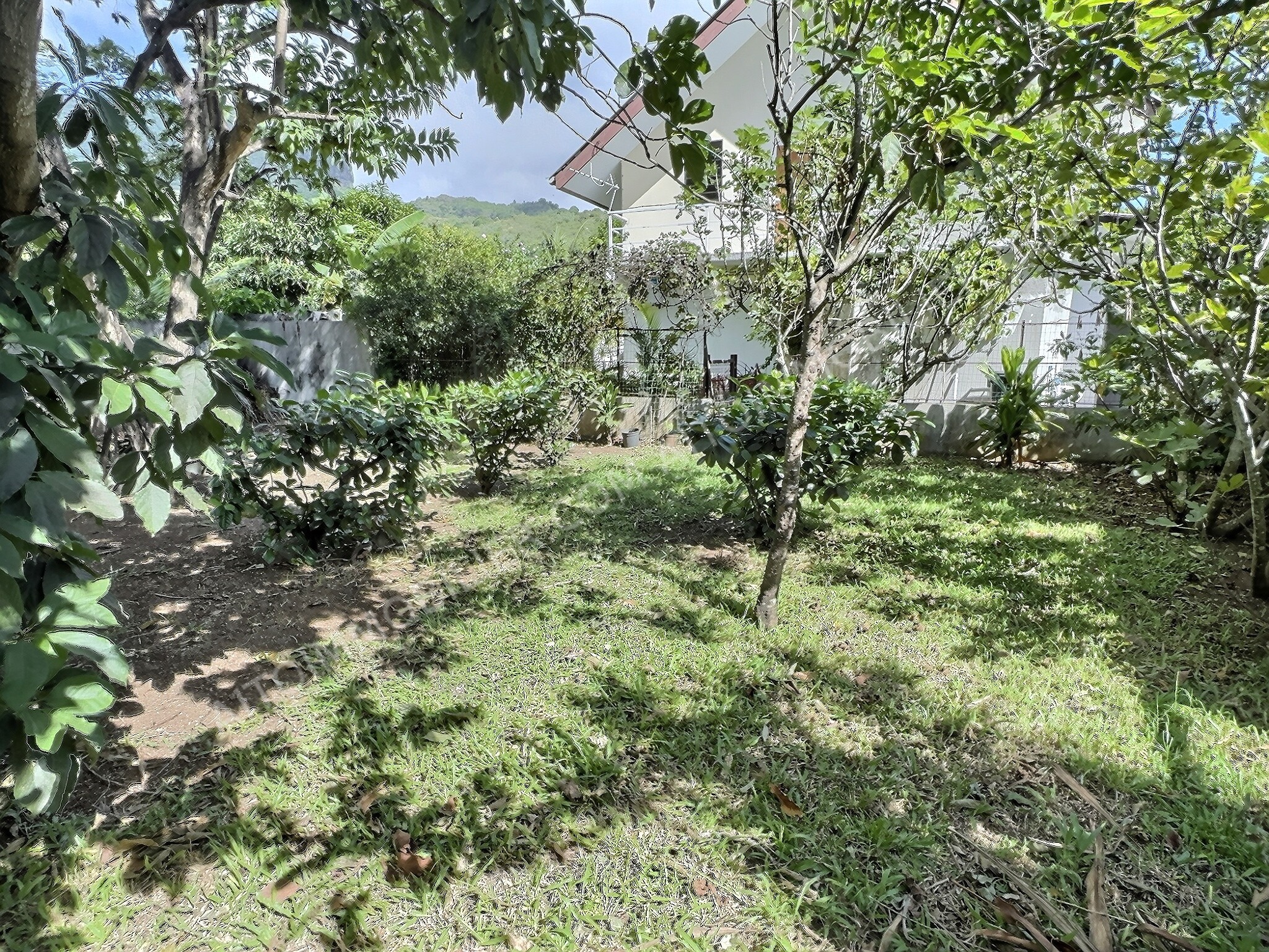 Moorea propriété familiale avec une maison de 4 chambres 17