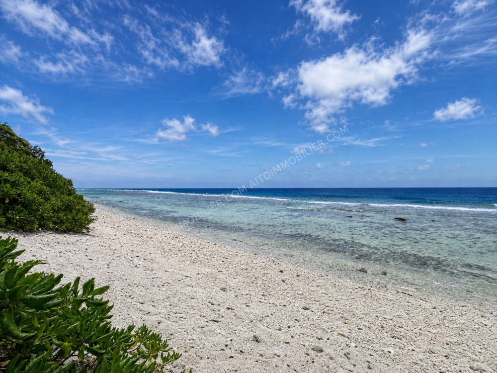 MOOREA PROPRIÉTÉ EN BORD DE MER À FORT POTENTIEL