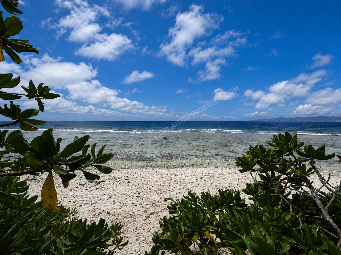 MOOREA PROPRIÉTÉ EN BORD DE MER À FORT POTENTIEL 5