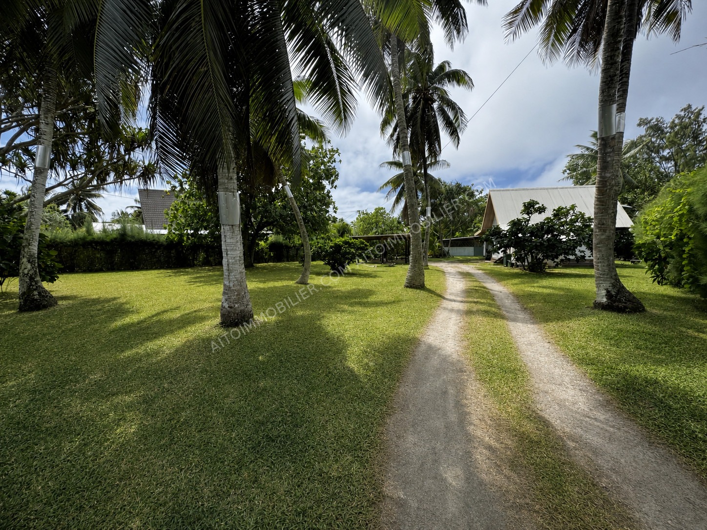 MOOREA PROPRIÉTÉ EN BORD DE MER À FORT POTENTIEL 3