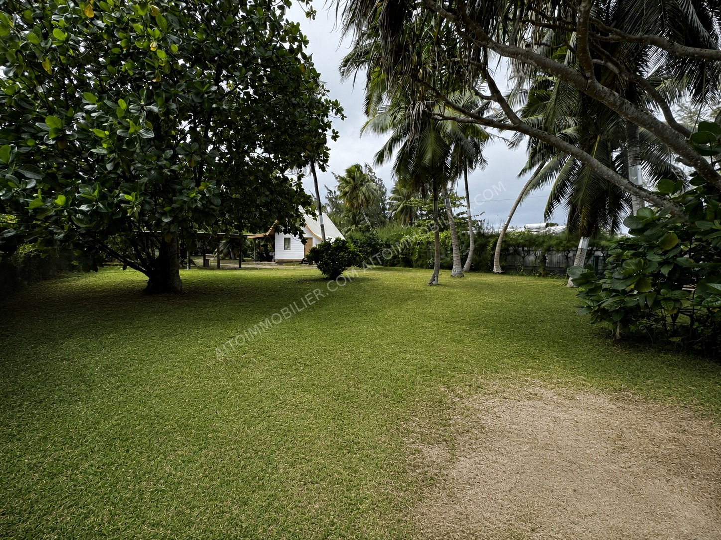 MOOREA PROPRIÉTÉ EN BORD DE MER À FORT POTENTIEL 4