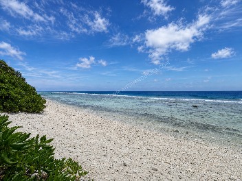 MOOREA PROPRIÉTÉ EN BORD DE MER À FORT POTENTIEL