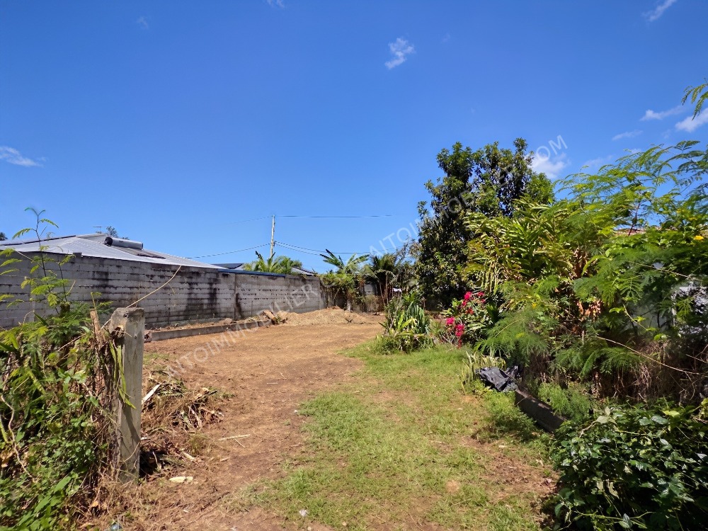 Terrain a vendre sur Punaauia