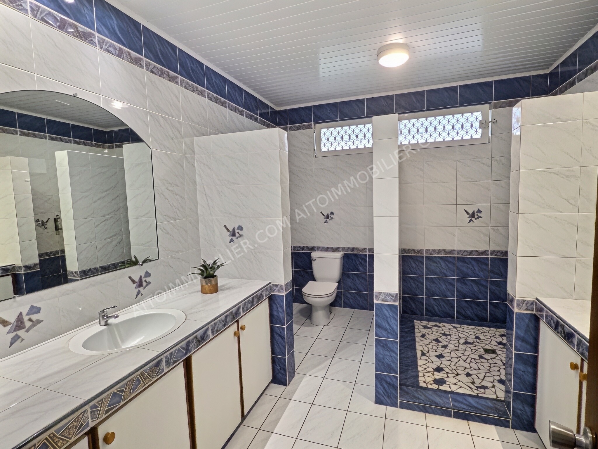 À vendre Erima hors lotissement maison de type F5 + bureau de 300 m2 habitable et avec piscine 5