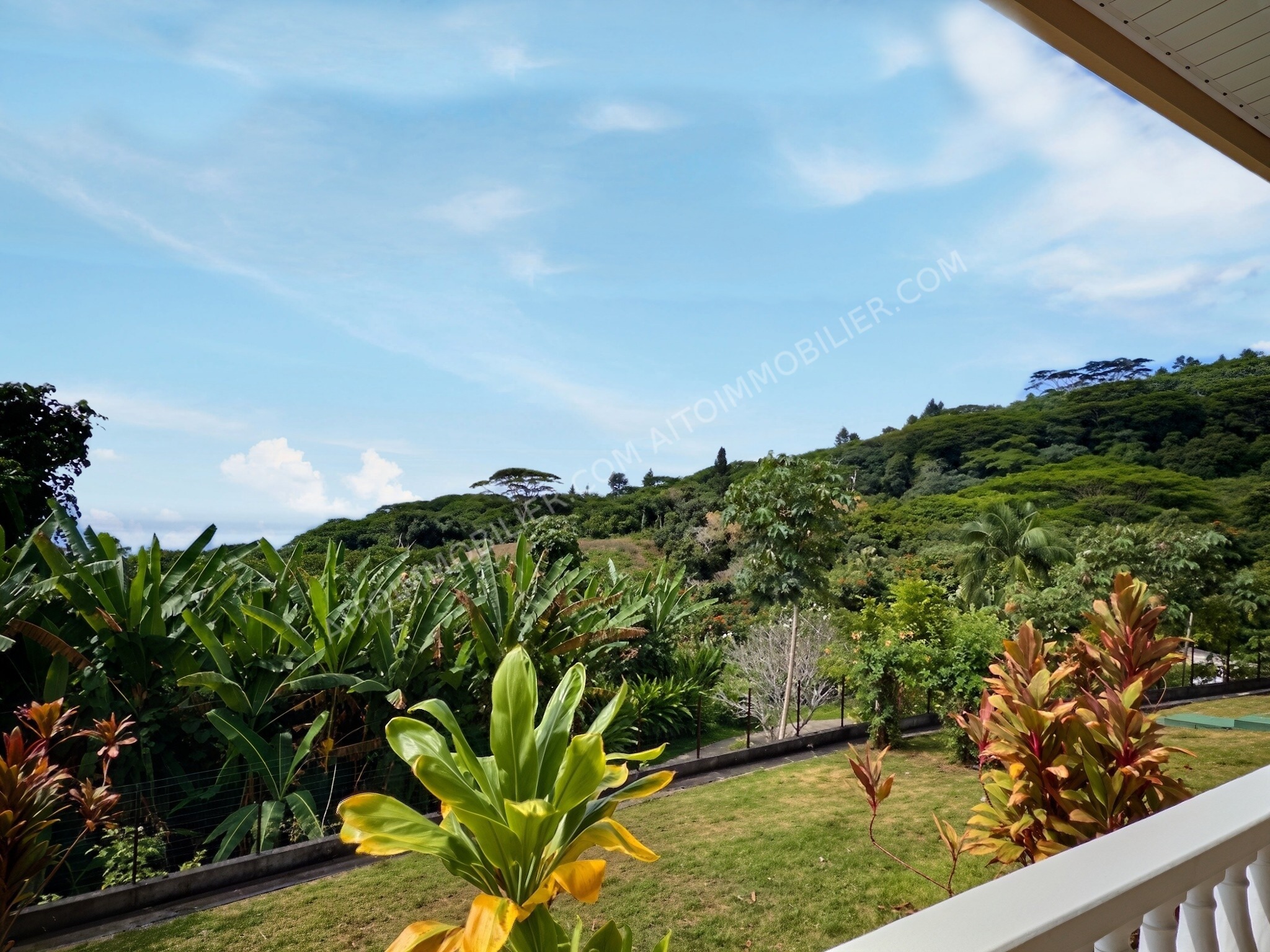 À vendre Erima hors lotissement maison de type F5 + bureau de 300 m2 habitable et avec piscine 17