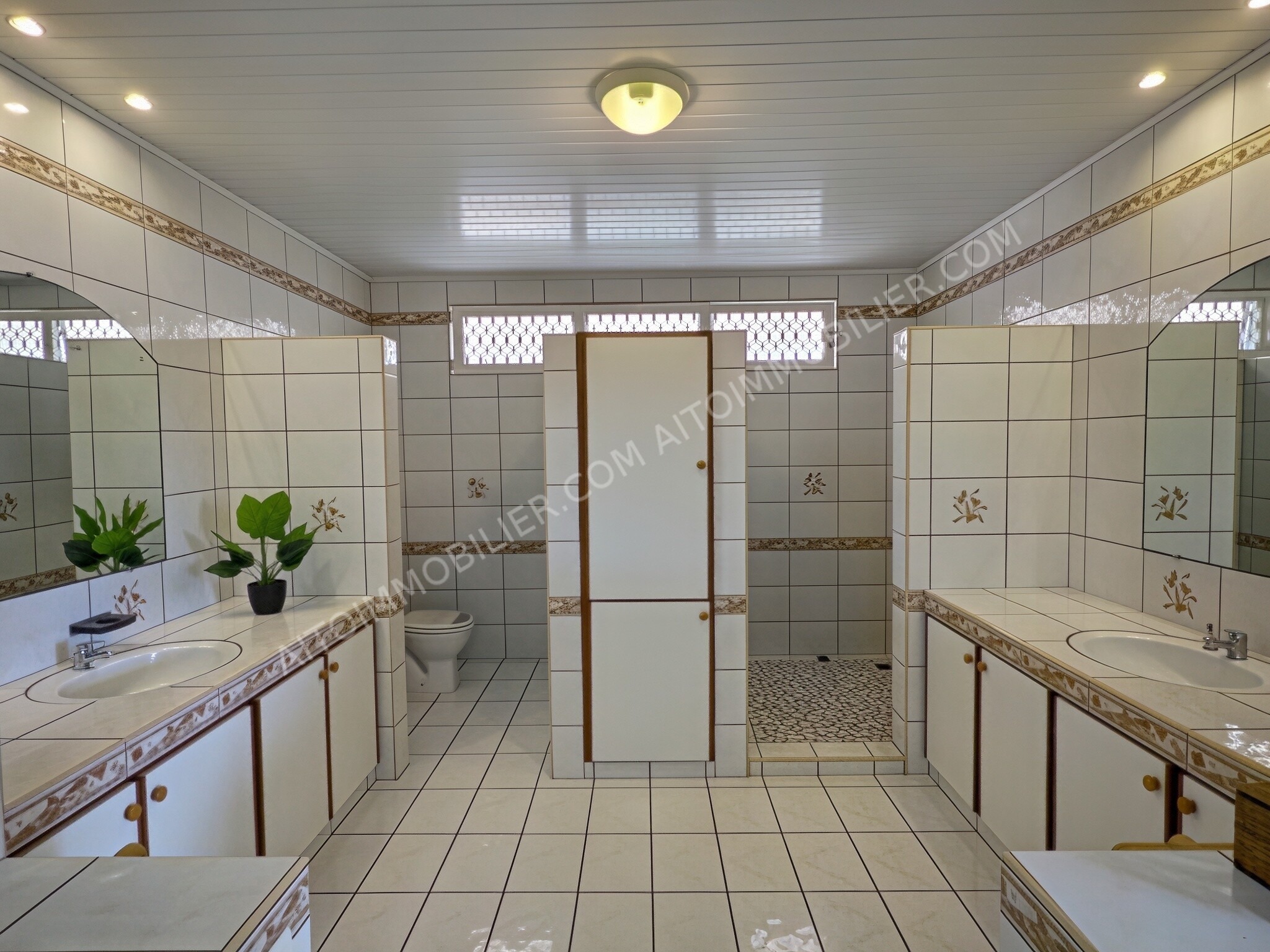 À vendre Erima hors lotissement maison de type F5 + bureau de 300 m2 habitable et avec piscine 7
