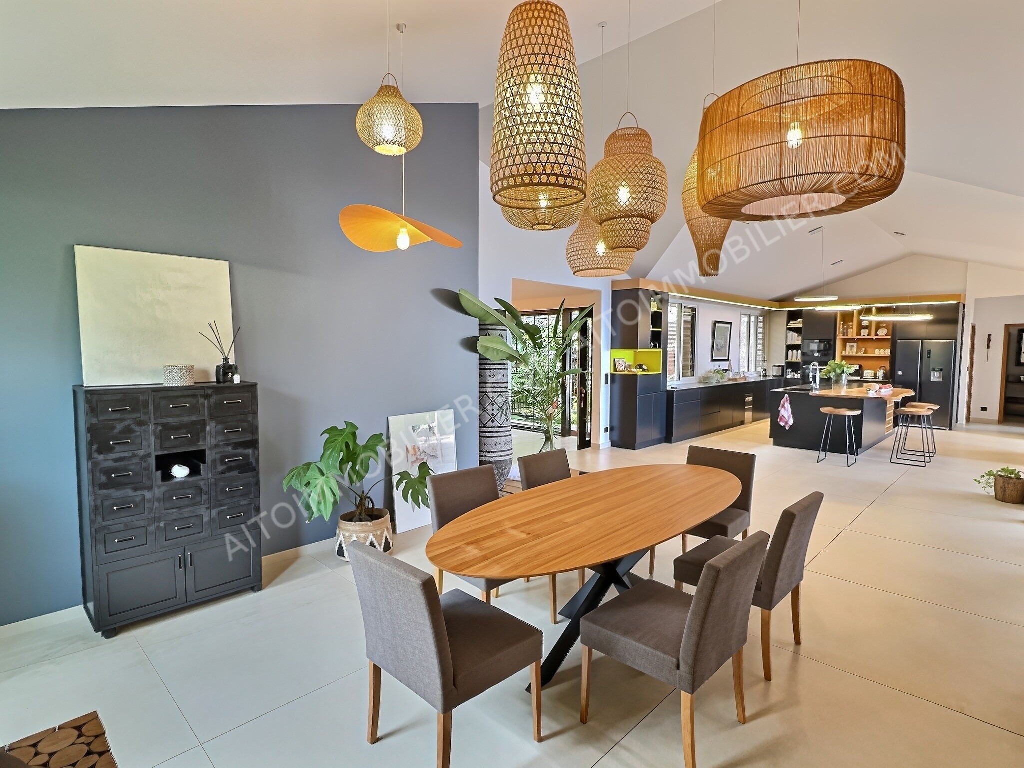 VENTE MAISON PUNAAUIA 3