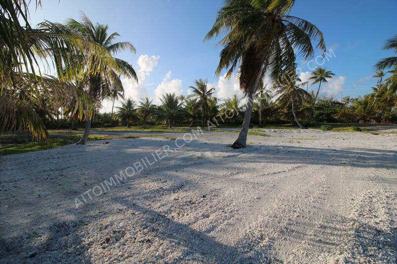 Vente Terrain à bâtir Takapoto tuamotu 3