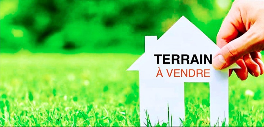 Vente Terrain à bâtir ARUE