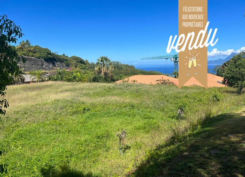 PUNAAUIA TERRAIN A BATIR