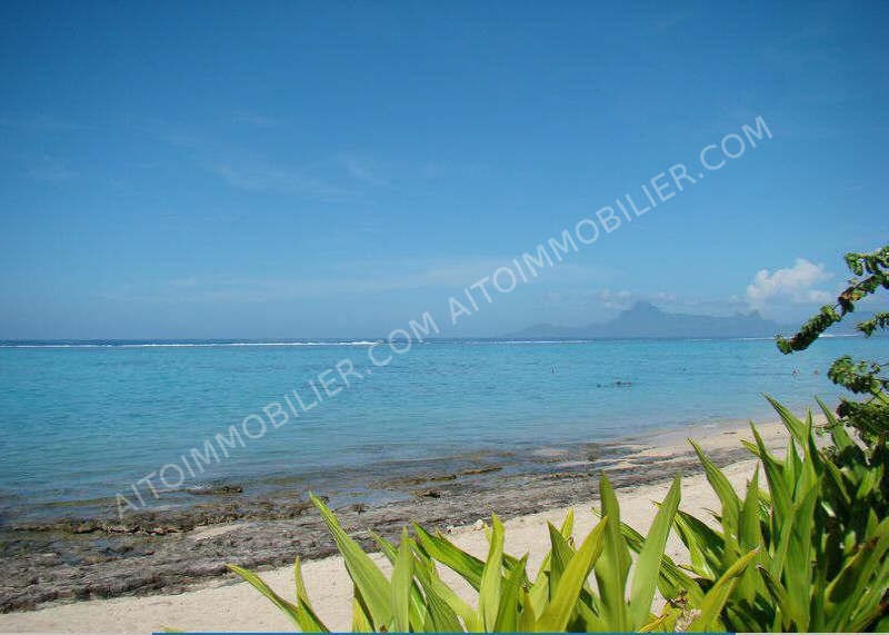 A LOUER  APPARTEMENT F3 PUNAAUIA 5
