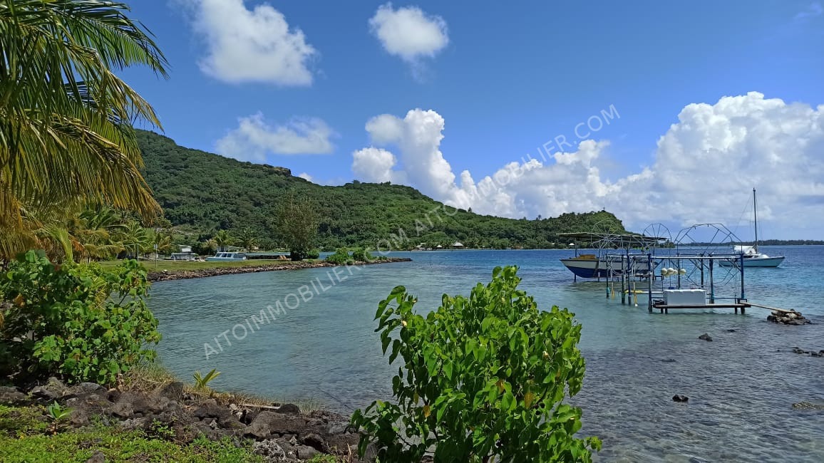 Appartement Bora Bora 1 pièce 2