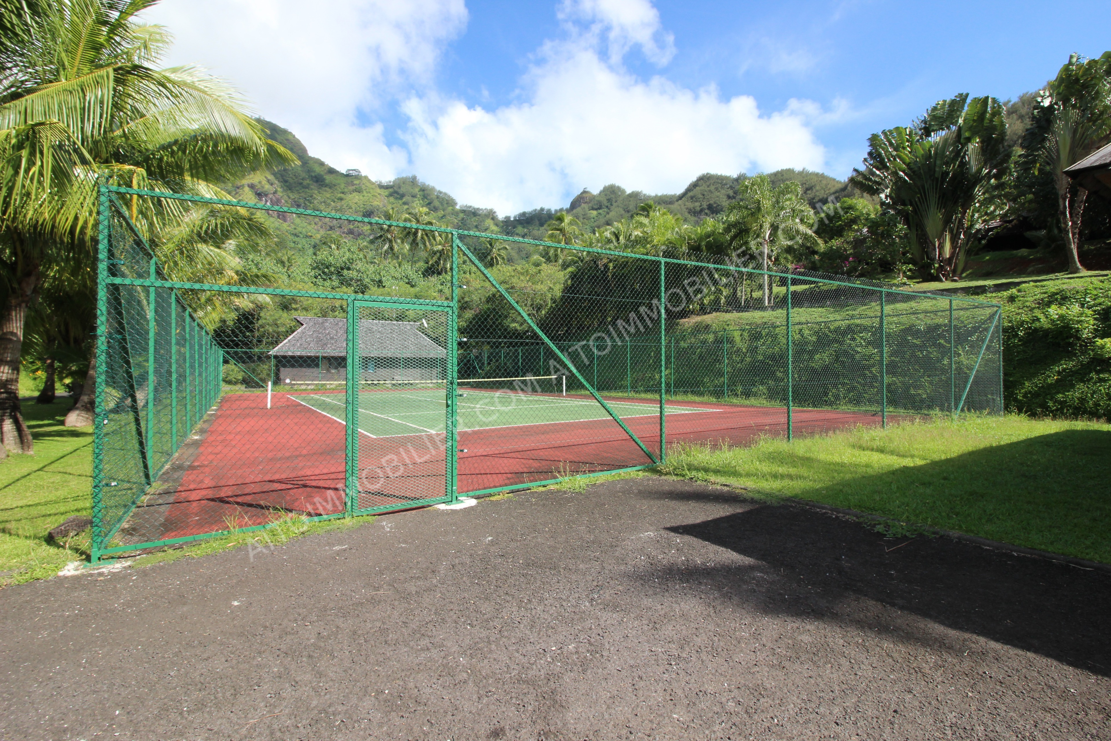 VENTE  SUR MOOREA 3