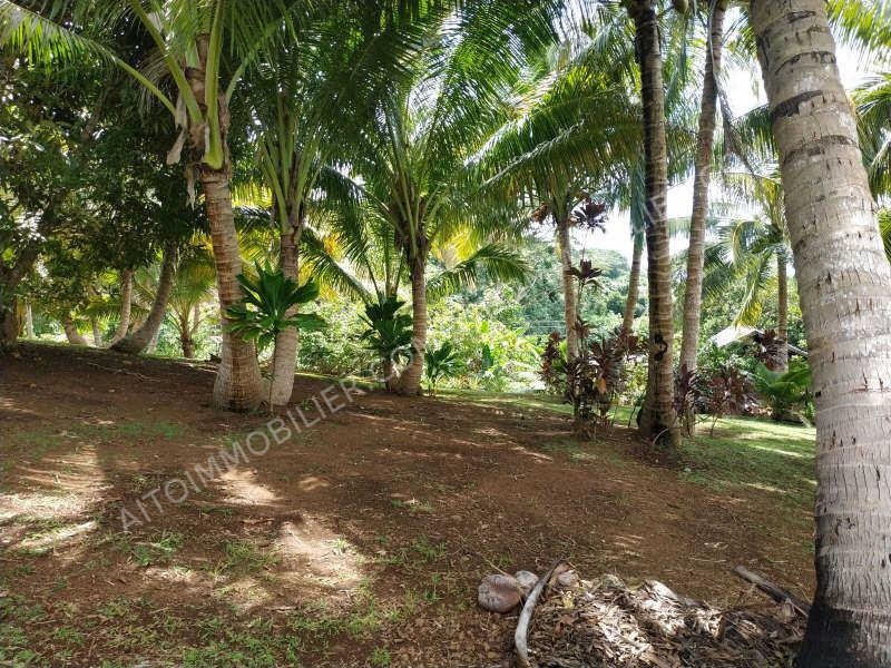 Vente Terrain à bâtir TARAVAO 3