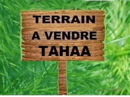 TERRAIN SUR TAHAA