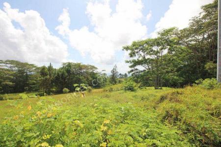 Vente Terrain agricole TARAVAO