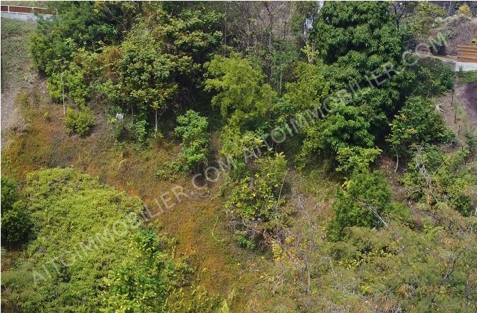 Vente Terrain à bâtir PUNAAUIA