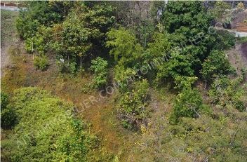 Vente Terrain à bâtir PUNAAUIA
