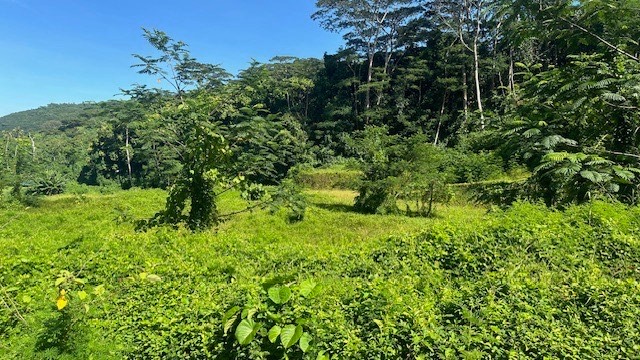 TERRAIN A VENDRE SUR MOOREA ATIHA