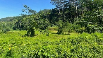 TERRAIN A VENDRE SUR MOOREA ATIHA