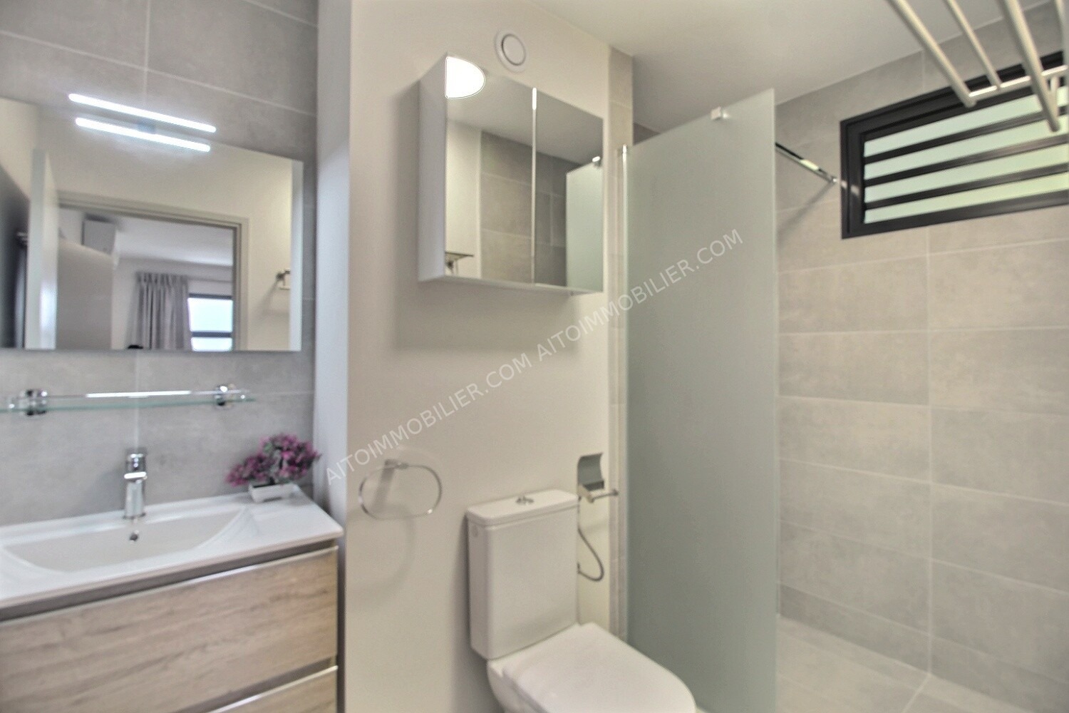 TAUNOA - APPARTEMENT F2 A LOUER 3
